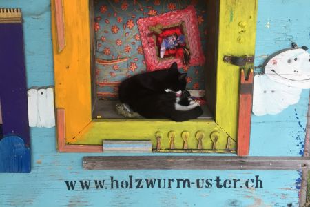 Sommerferien im Holzwurm