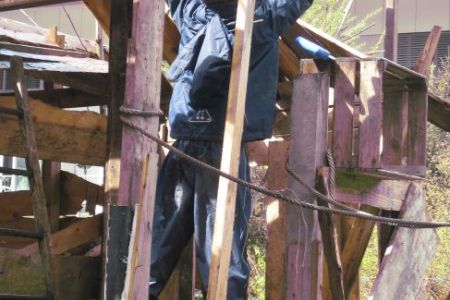 "Ab auf die Bäume...ihr Affen"